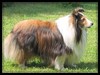 Cindahope Kylene Show Off Cindahope Kylene Show Off