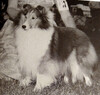 Mau-Land Chance For Glory Mau-Land Chance For Glory