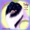 Labelle Toby The Tyrant Labelle Toby The Tyrant