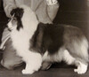 Trilight Looks Good On You Trilight Looks Good On You