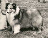 Beltane The Mutineer