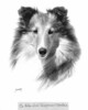 Lobo Dell Tangerine O'Dorlane