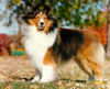 Kylene Cindahope Picture Me