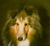 Barwoods Care Free Spirit