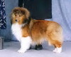 Beaucourt's Glamoor Notorious