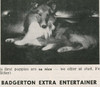 Badgerton Extra Entertainer