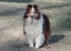 Coastwynn Clarice