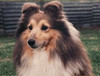 Nantiki Magic Boots