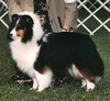 Jade Mist Novah