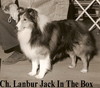 Lanbur Jack-In-The-Box