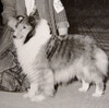Barwoods Karmun Jubilee