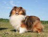 Belmark Charismatic