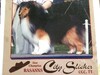 Rasanns City Slicker