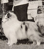 B'Field's Family Ties