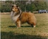 Kensil's Stepson