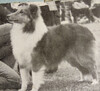 Lobo Dell Moon Sprite