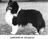Sundowner Mr Bojangles