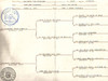 Pedigree