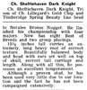 Sheltie Haven Dark Knight story - Shetland Special fall 1958
