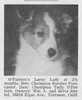O'Pattern's Lacey Lady 2 1/2 mos - Shetland Special winter 1957