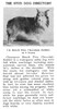 Beech Tree Chocolate Soldier 8 yrs - story - Jan-Feb 1950 Shetland Special