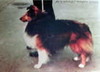 Color Photo