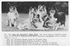 Eng Ch Riverhill Rare Gold with 4 CH daughters - Sheltie Special Jul-Aug-1968