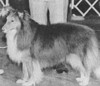 Thistlerose Design'd For Duty - Sheltie Special Jan-Feb 1970