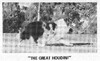 E-Danha Blue Reflections - Sheltie Special Sep-Oct 1971