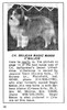 Brujean Magic Maker O'Waljon - Nov-Dec 1971 - photo correction