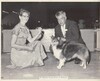 handler - Barbara Thompson