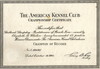 Ch certificate