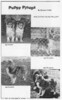 Willow Wand Gold Rush II - puppy photos - Sheltie Special Aug 1976