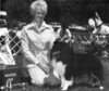 Sumersong Hurry Sundown - Sheltie Special Aug 1977