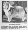 Beltane The Buccaneer - cover - Sheltie Special Jul-Aug 1970