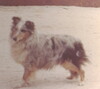 Vikingsholm Tagetta