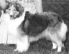 Mountainlair Sandmere Margo Mountainlair Sandmere Margo