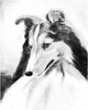Thistlerose Milord - oil painting by Louise Lopina