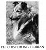 Chisterling Florian